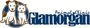Glamorgan Animal Clinic - Glamorgan Animal Clinic