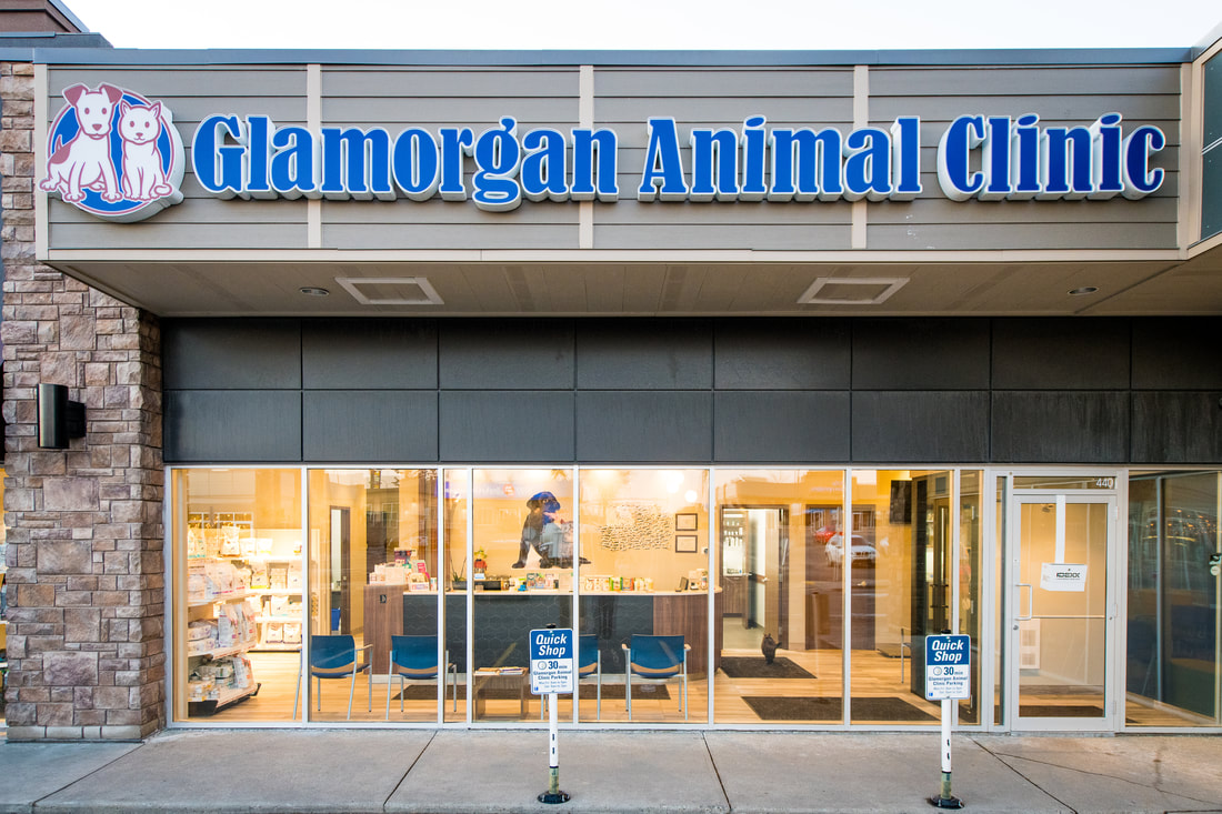 Glamorgan Animal Clinic - Glamorgan Animal Clinic